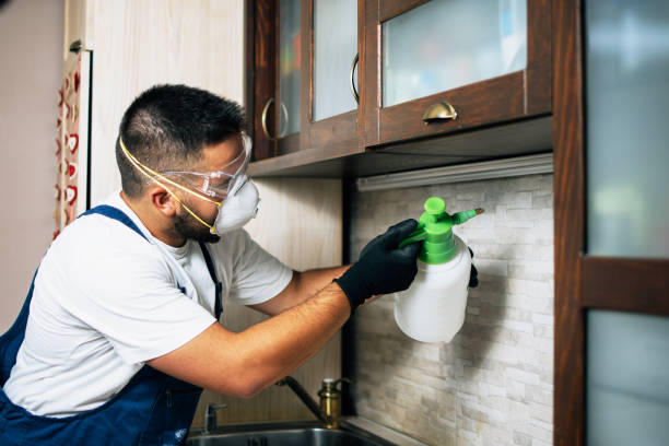 Best Pest Removal Services  in Mountain View, AR