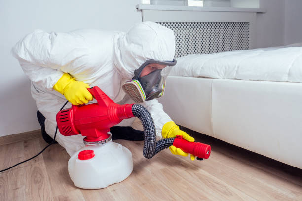 Best Mosquito Control Services  in Mountain View, AR