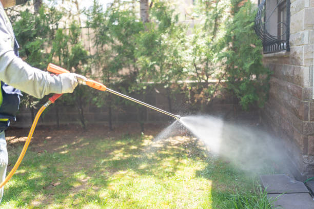 Best Exterminator Services  in Mountain View, AR