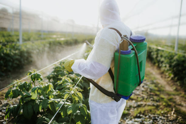 Best Affordable Pest Control Services  in Mountain View, AR